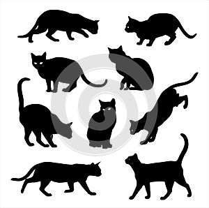 Cat silhouette vector set isolated on white