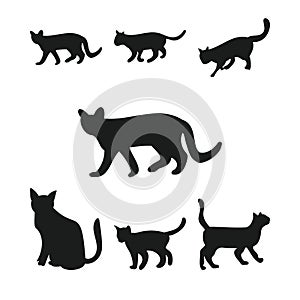 Cat Silhouette vector set with multiple shapes. Cats with different poses silhouettes. Cat vector. Cat walking and sitting. Feline