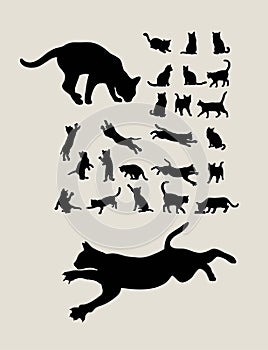 Cat Silhouettes