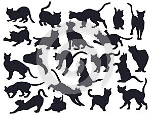 Cat silhouettes. Black icons, shadow animals sit, kitten tail pose, playful kitty pet standing. Cute funny domestic