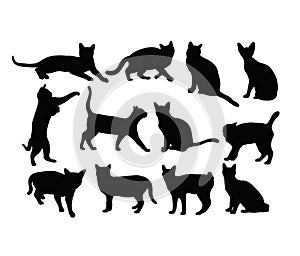 Cat Silhouettes