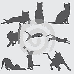 9 cat silhouettes set