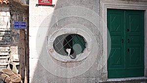 Cat sits on the barred window of Our Lady of Carmel church. Montenegro