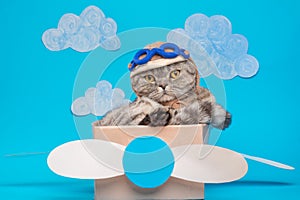 The cat sits a cute pilot Sedit aviator in a paper plane, a Scottish Whiskas in a mask and goggles of an airplane pilot. The