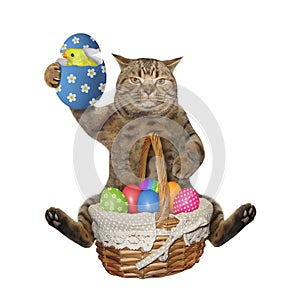 Cat sits with easter eggs