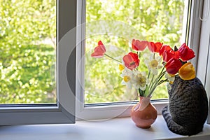 A cat sits on one near bright red white and yellow flowers in a vase. Outside the window is green foliage of trees. sunlight falls
