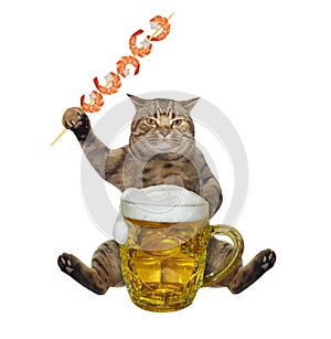 Cat sits with shrimp and mug of beer