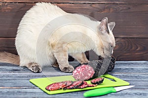 A cat sits on a table and sniffs a sliced smoked sausage.