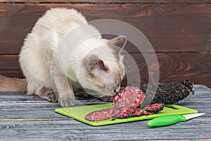 A cat sits on a table and sniffs a sliced smoked sausage.