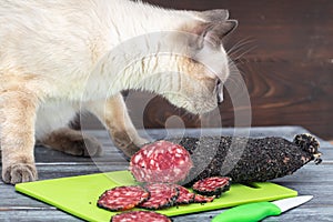 A cat sits on a table and sniffs a sliced smoked sausage.