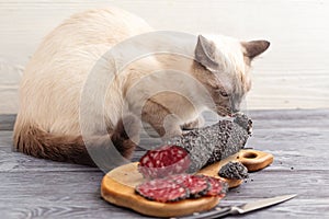 A cat sits on a table and sniffs a sliced smoked sausage.