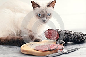 A cat sits on a table and sniffs a sliced smoked sausage.