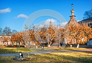 The cat sits on the territory of the Joseph-Volotsky Monastery in Teryaevo