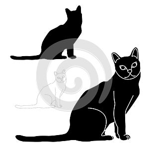 Cat sitting black silhouette set