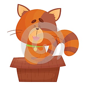 Cat Sitting Inside Cardboard Box Peeping Out Vector Illustration. Curious Kitty and Carton Box