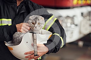 Cat is sitting in the protective helmet. Woman firefighter in uniform is at work in department