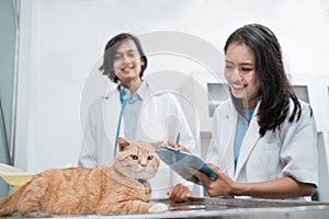 a cat sitting at a table is observed by a female doctor taking notes using a clipboard against a male veterinarian