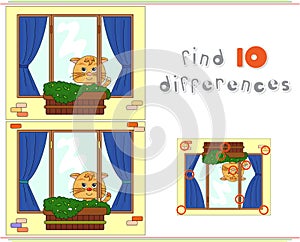Cat sitting on the window with flower pots and curtains. Educational game for kids: find ten differences