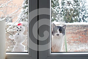 The cat is sitting on the window with a snowman and she wants to go inside.