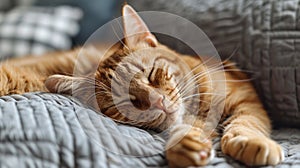 A cat sleeping on a bed with its eyes closed, AI