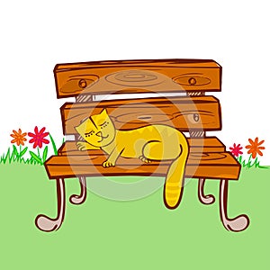 Cat sleeping on the chair