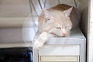 Cat sleeping on computer under table warming