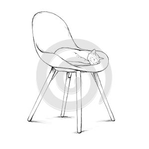 Cat sleeping on on designer chair