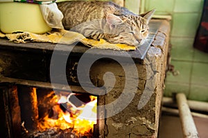 Cat sleeping on stove fireplace