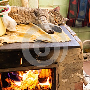 Cat sleeping on stove fireplace