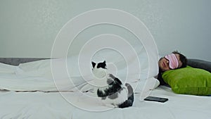Cat slowly creeps up across bed and sits down next to the sleeping owner who is lying under blanket. White caucasian man