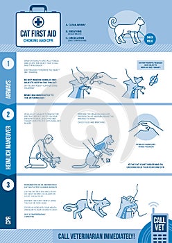 Cat and small animals cpr photo