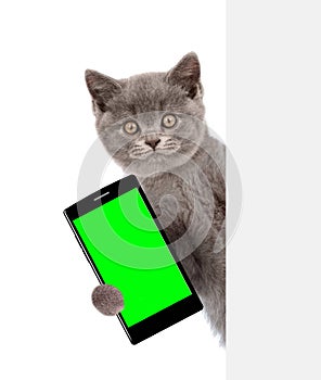Cat with smartphone peeking above white banner. Isolated on white background