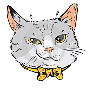 Cat smirk. Feline grin. Cat drawing. Portrait of cat with bow tie photo