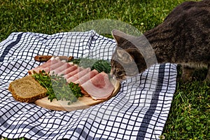 Cat sniffing ham on a wooden plate