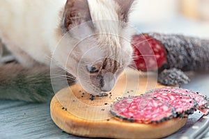 Cat sniffs pieces of smoked sausage, sliced on a wooden cutting board.