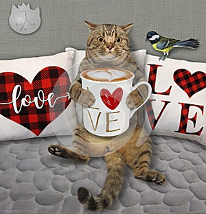 Cat on soft divan drinks coffee 2