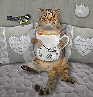 Cat on soft divan drinks coffee