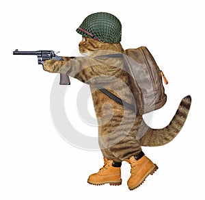 Cat soldier with revolver