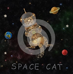 Cat in spacesuit in outer space 2