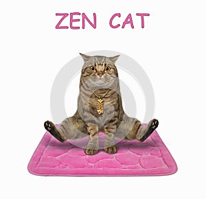 Cat on square mat doing yoga 2