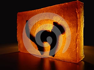 Cat - stained glass #3