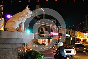 Cat Statue in Kuching Streets in night