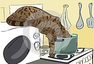 Cat stealing food at the kitchen