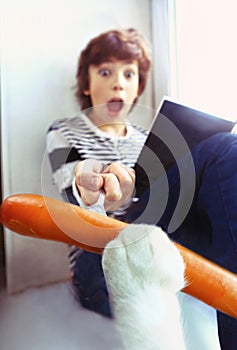 Cat stealing sausage from reading boy