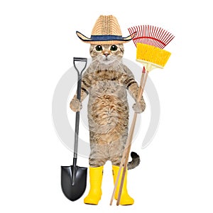 Cat in a straw hat and rubber boots standing with a garden tool in his hands