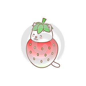 Cat with strawberry