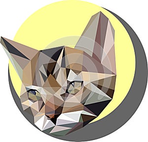 Cat in the style of the polygon. Fashion illustration of the trend in style on a yellow background. Portrait of a pet kitten