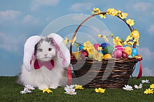 Cat in the suit bunny celebrates Easter