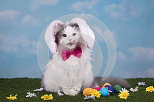 Cat in the suit bunny celebrates Easter