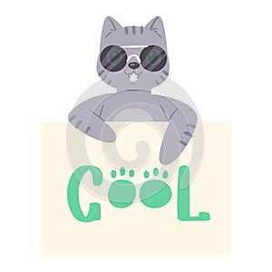 Cat in sunglass banner vector kitten character peeking behind cardboard kitty holding copy space message poster